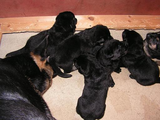 PICT0162.JPG